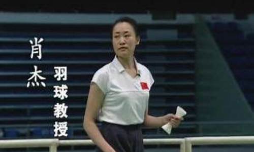 2006肖杰羽毛球教学_肖杰羽毛球教学45全集高清