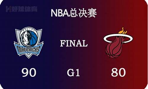 2006年nba总决赛数据_06年nba总决赛阵容