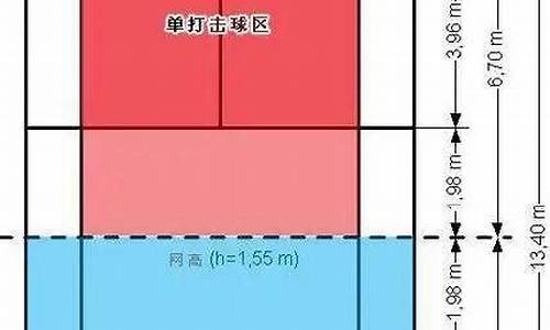 国际羽毛球单打规则下载_国际羽毛球单打规则