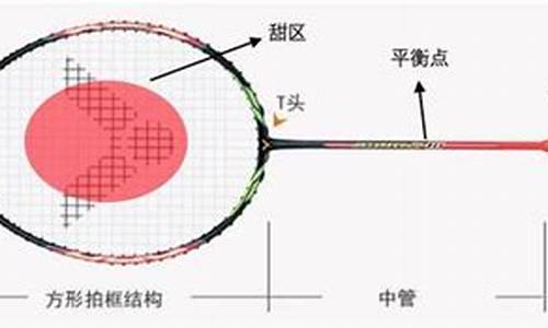 羽毛球拍选购知识_羽毛球拍选购知识大全