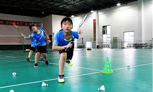 小学个人羽毛球训练总结_小学个人羽毛球训练总结报告