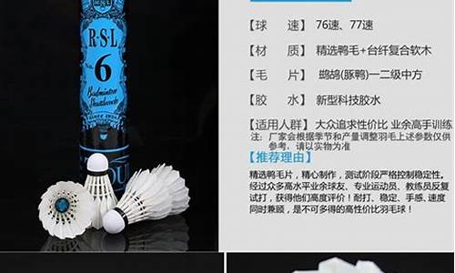 亚狮龙6号羽毛球价格及图片_亚狮龙6号羽毛球价格及图片大全